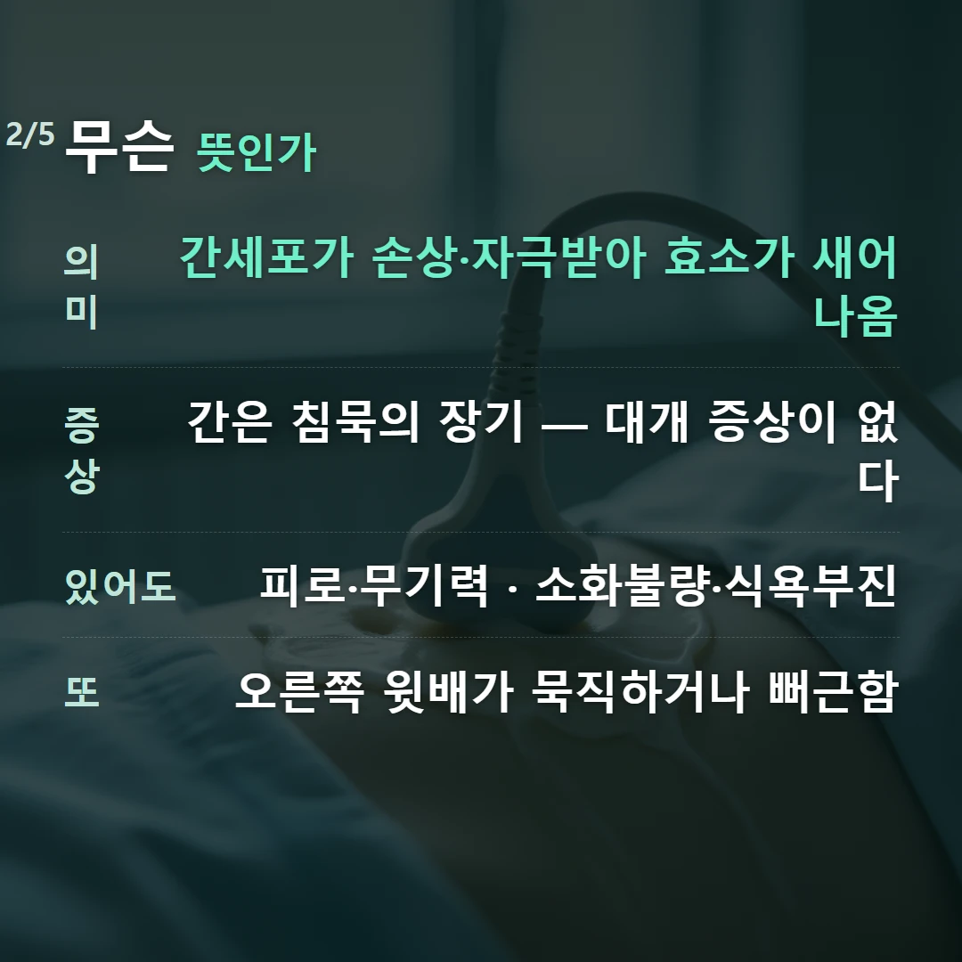 무슨 뜻인가 — 의미 간세포가 손상·자극받아 효소가 새어 나옴, 증상 간은 침묵의 장기 — 대개 증상이 없다, 있어도 피로·무기력 · 소화불량·식욕부진, 또 오른쪽 윗배가 묵직하거나 뻐근함