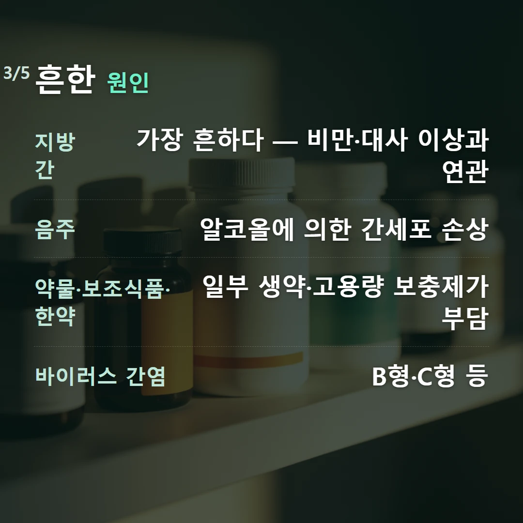 흔한 원인 — 지방간 가장 흔하다 — 비만·대사 이상과 연관, 음주 알코올에 의한 간세포 손상, 약물·보조식품·한약 일부 생약·고용량 보충제가 부담, 바이러스 간염 B형·C형 등