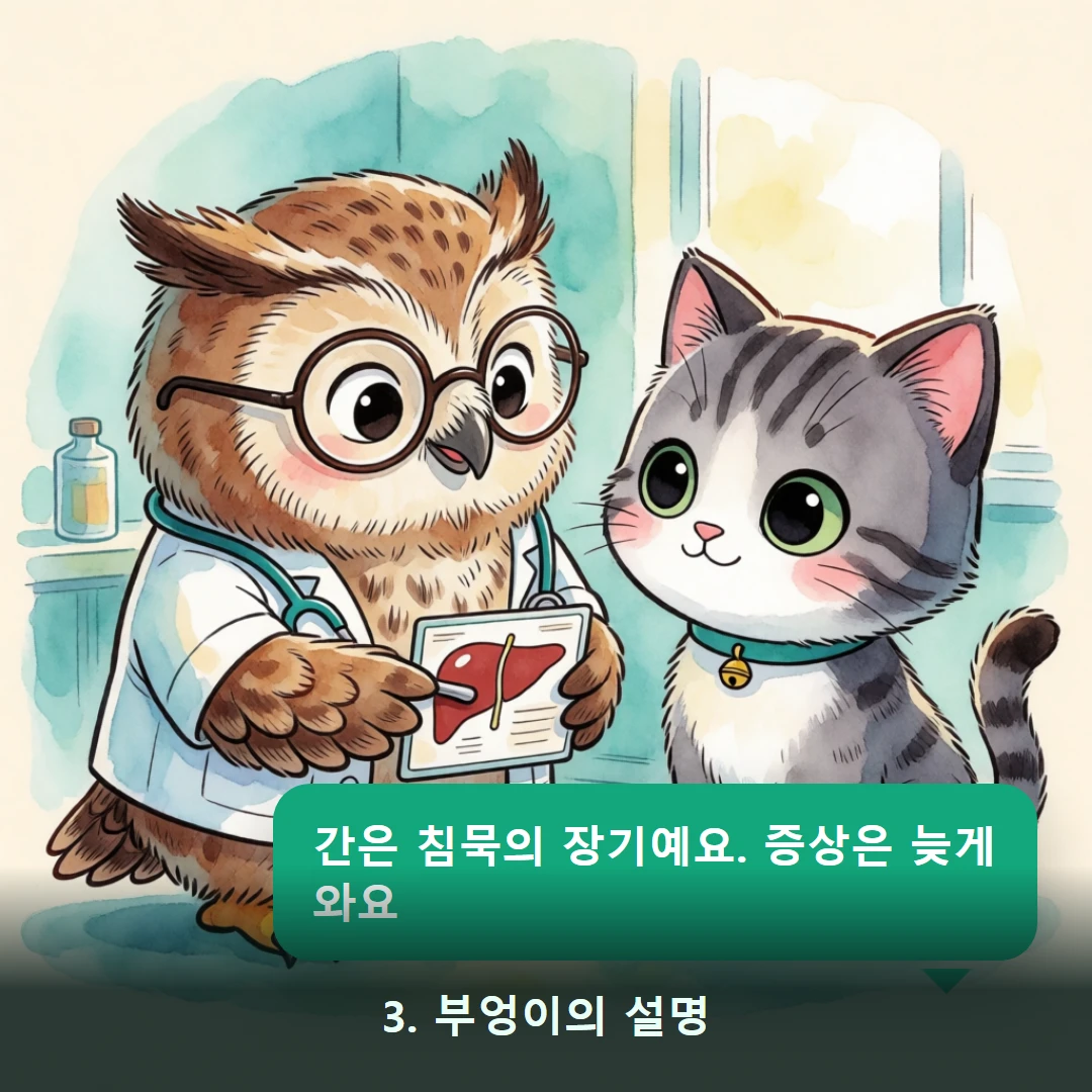 웹툰 3컷 — 3. 부엉이의 설명 (간은 침묵의 장기예요. 증상은 늦게 와요)