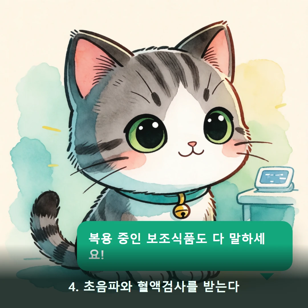 웹툰 4컷 — 4. 초음파와 혈액검사를 받는다 (복용 중인 보조식품도 다 말하세요!)