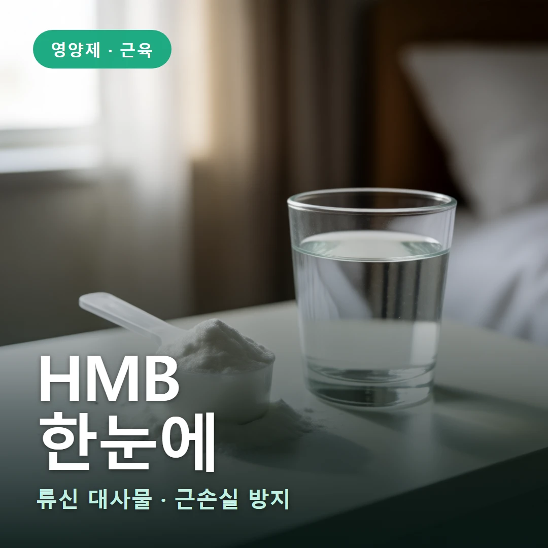 HMB 요약 표지 — 류신 대사물 · 근손실 방지