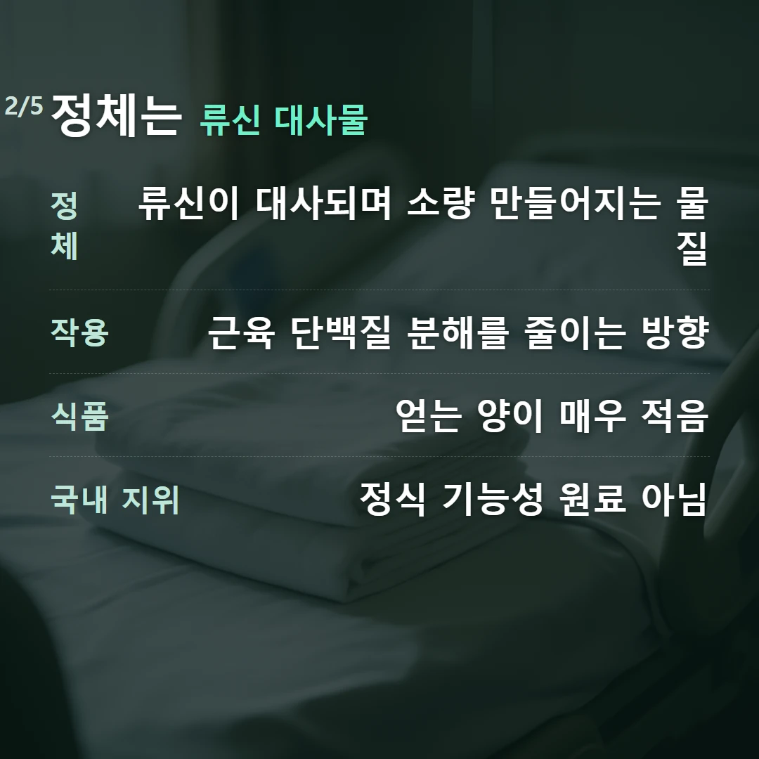 정체는 류신 대사물 — 정체 류신이 대사되며 소량 만들어지는 물질, 작용 근육 단백질 분해를 줄이는 방향, 식품 얻는 양이 매우 적음, 국내 지위 정식 기능성 원료 아님