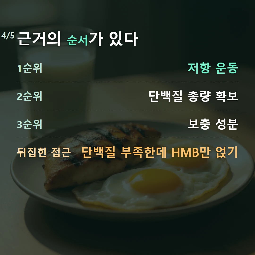 근거의 순서가 있다 — 1순위 저항 운동, 2순위 단백질 총량 확보, 3순위 보충 성분, 뒤집힌 접근 단백질 부족한데 HMB만 얹기