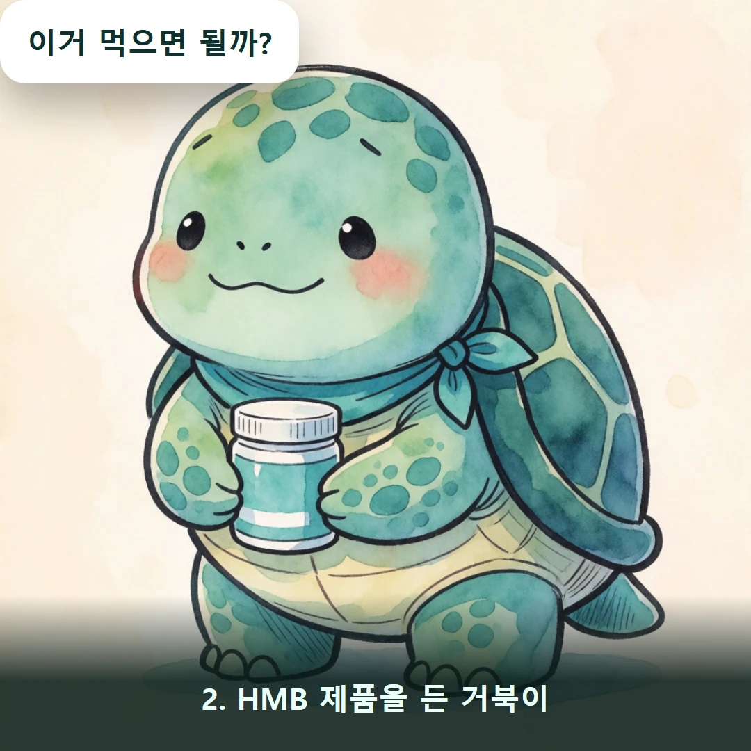웹툰 2컷 — 2. HMB 제품을 든 거북이 (이거 먹으면 될까?)
