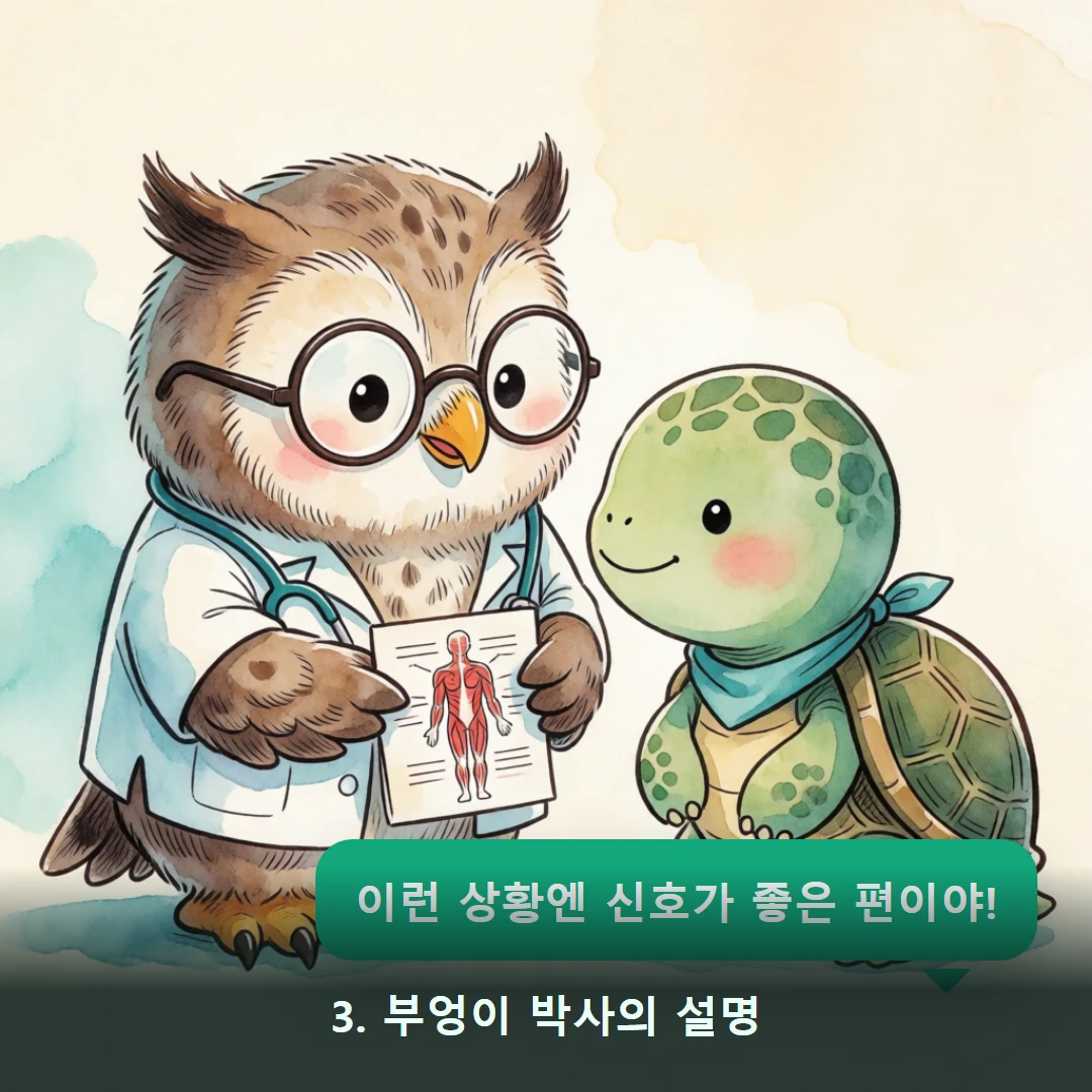 웹툰 3컷 — 3. 부엉이 박사의 설명 (이런 상황엔 신호가 좋은 편이야!)