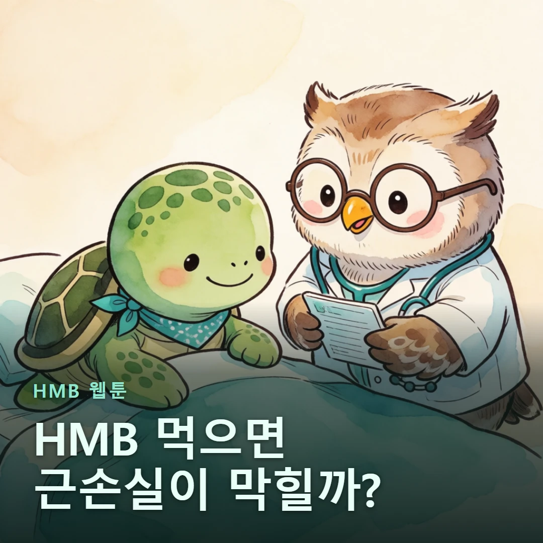HMB 웹툰 표지 — HMB 먹으면 근손실이 막힐까?