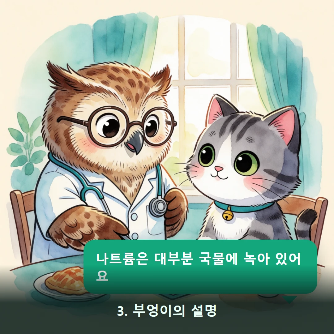 웹툰 3컷 — 3. 부엉이의 설명 (나트륨은 대부분 국물에 녹아 있어요)