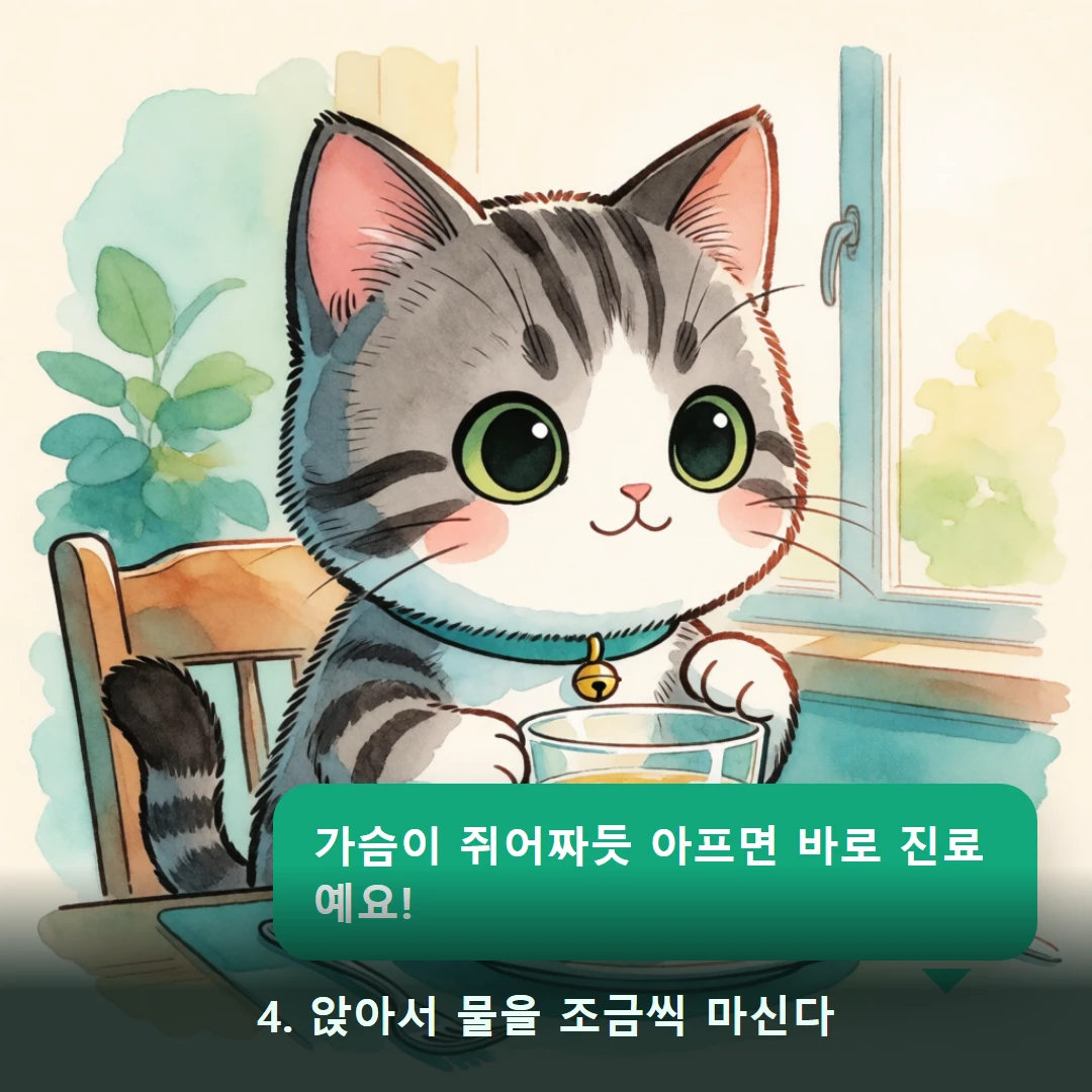 웹툰 4컷 — 4. 앉아서 물을 조금씩 마신다 (가슴이 쥐어짜듯 아프면 바로 진료예요!)