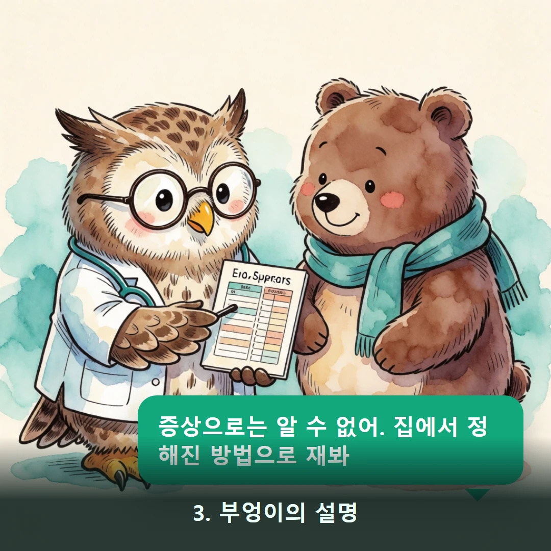 웹툰 3컷 — 3. 부엉이의 설명 (증상으로는 알 수 없어. 집에서 정해진 방법으로 재봐)