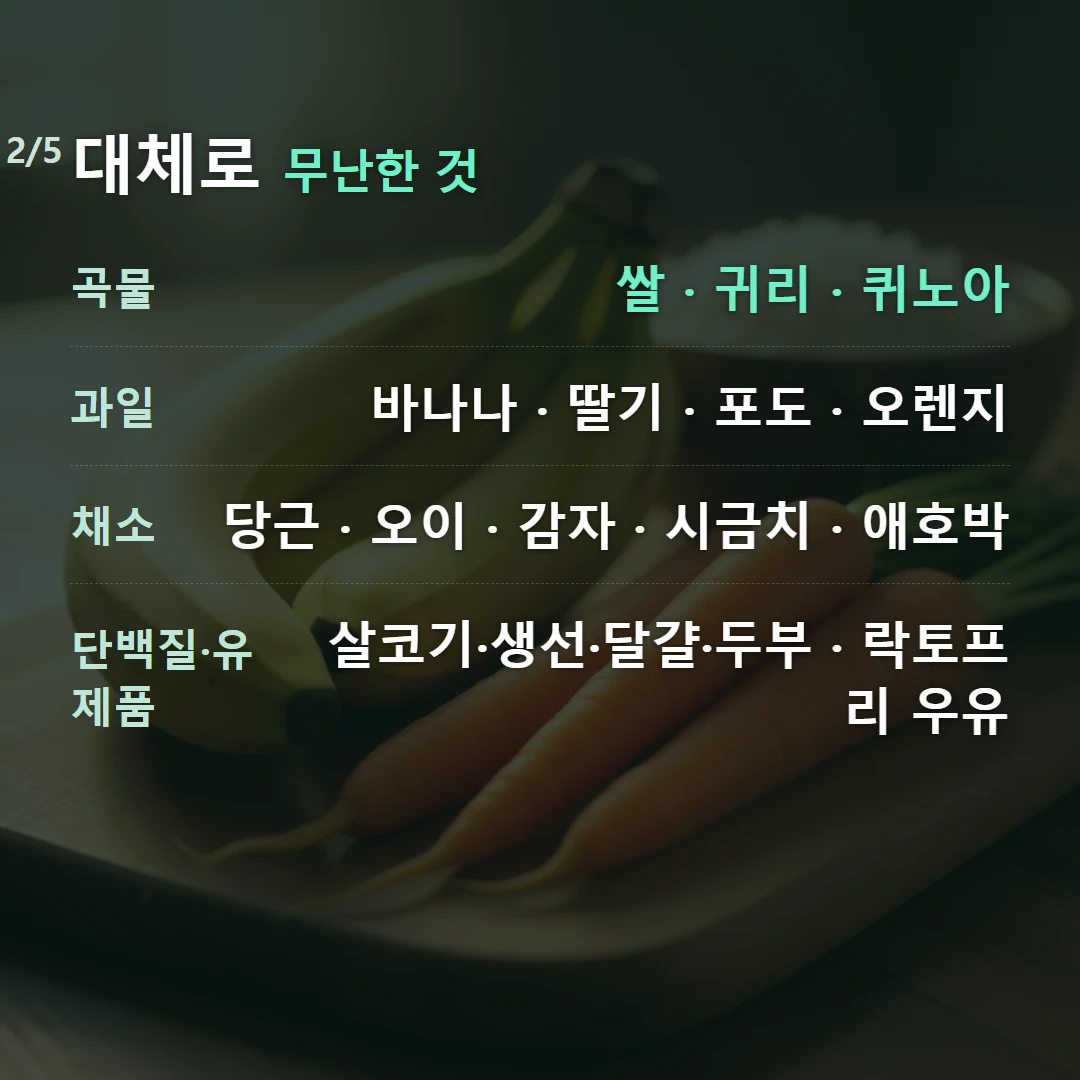 대체로 무난한 것 — 곡물 쌀 · 귀리 · 퀴노아, 과일 바나나 · 딸기 · 포도 · 오렌지, 채소 당근 · 오이 · 감자 · 시금치 · 애호박, 단백질·유제품 살코기·생선·달걀·두부 · 락토프리 우유