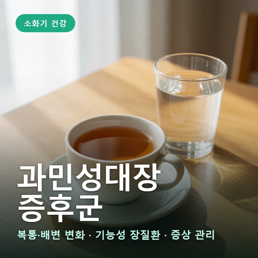 과민성대장증후군 요약 표지 — 복통·배변 변화 · 기능성 장질환 · 증상 관리