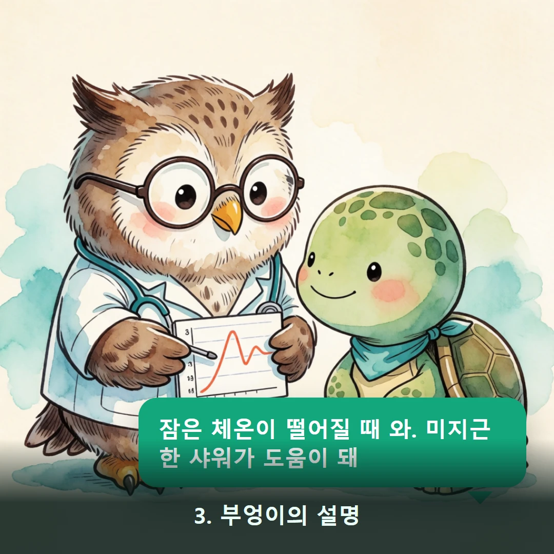 웹툰 3컷 — 3. 부엉이의 설명 (잠은 체온이 떨어질 때 와. 미지근한 샤워가 도움이 돼)