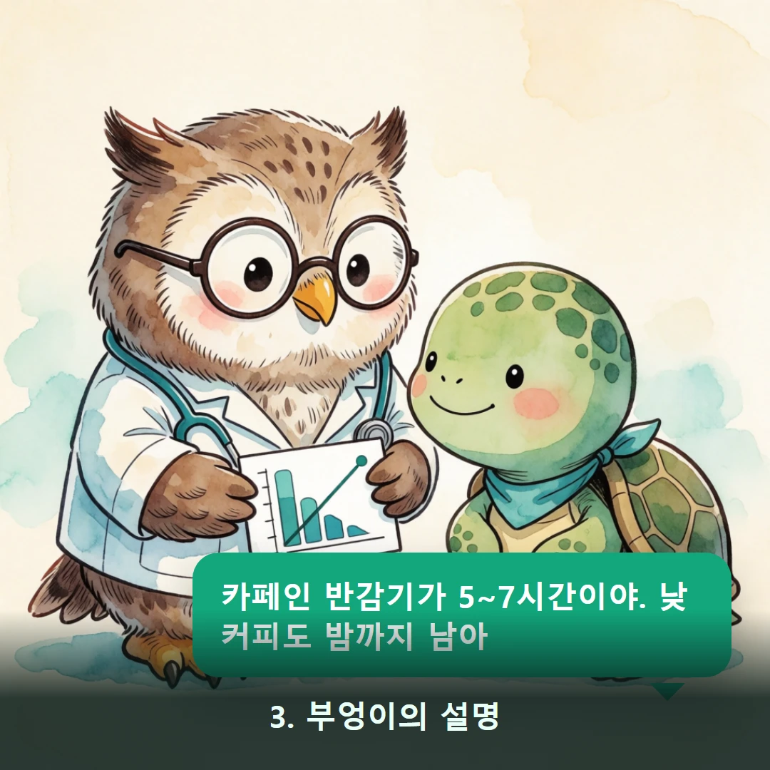 웹툰 3컷 — 3. 부엉이의 설명 (카페인 반감기가 5~7시간이야. 낮 커피도 밤까지 남아)