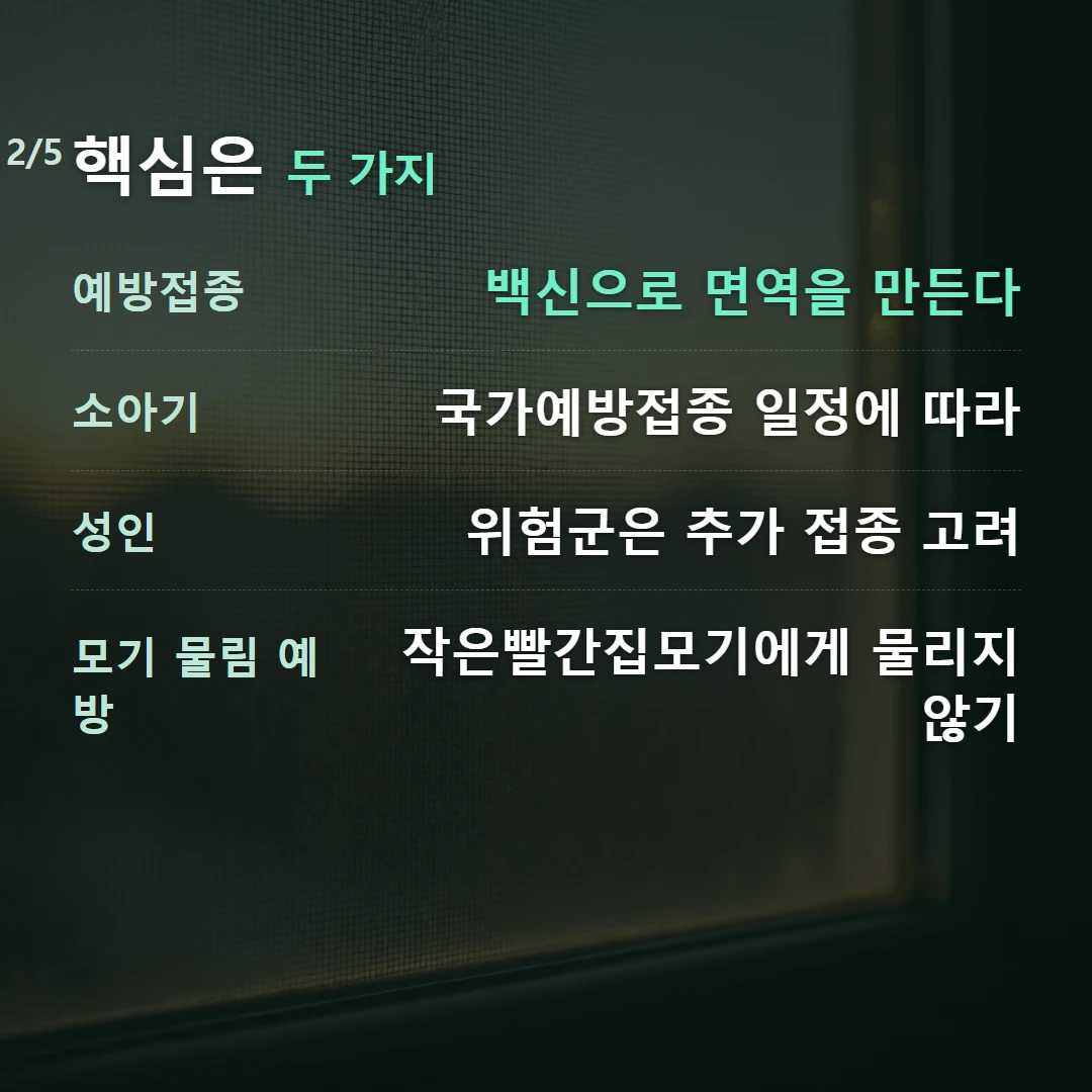 핵심은 두 가지 — 예방접종 백신으로 면역을 만든다, 소아기 국가예방접종 일정에 따라, 성인 위험군은 추가 접종 고려, 모기 물림 예방 작은빨간집모기에게 물리지 않기