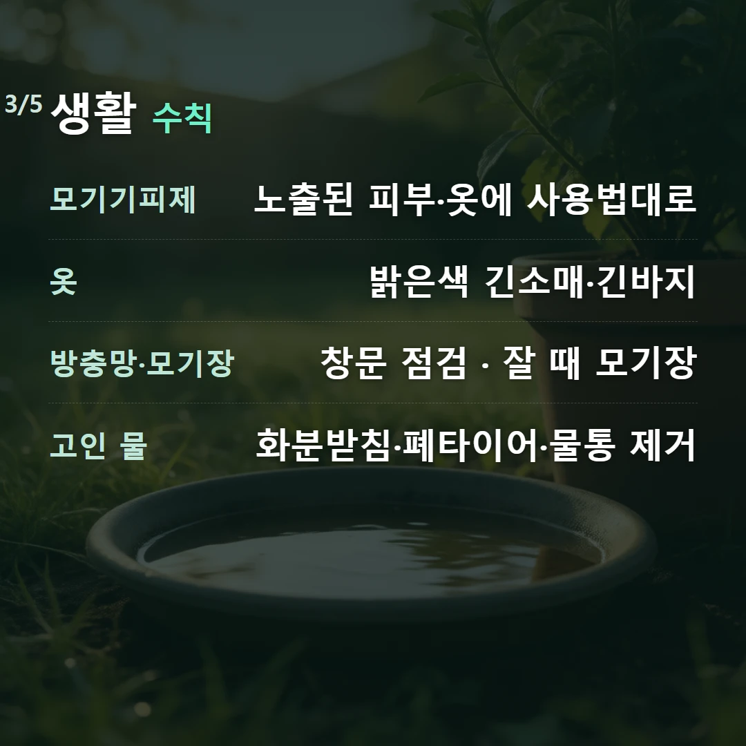 생활 수칙 — 모기기피제 노출된 피부·옷에 사용법대로, 옷 밝은색 긴소매·긴바지, 방충망·모기장 창문 점검 · 잘 때 모기장, 고인 물 화분받침·폐타이어·물통 제거
