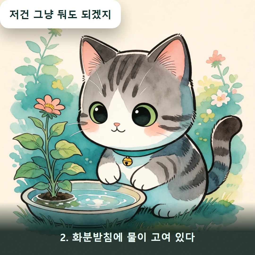 웹툰 2컷 — 2. 화분받침에 물이 고여 있다 (저건 그냥 둬도 되겠지)