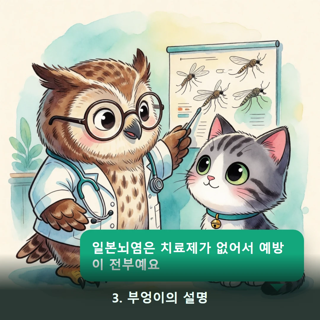 웹툰 3컷 — 3. 부엉이의 설명 (일본뇌염은 치료제가 없어서 예방이 전부예요)