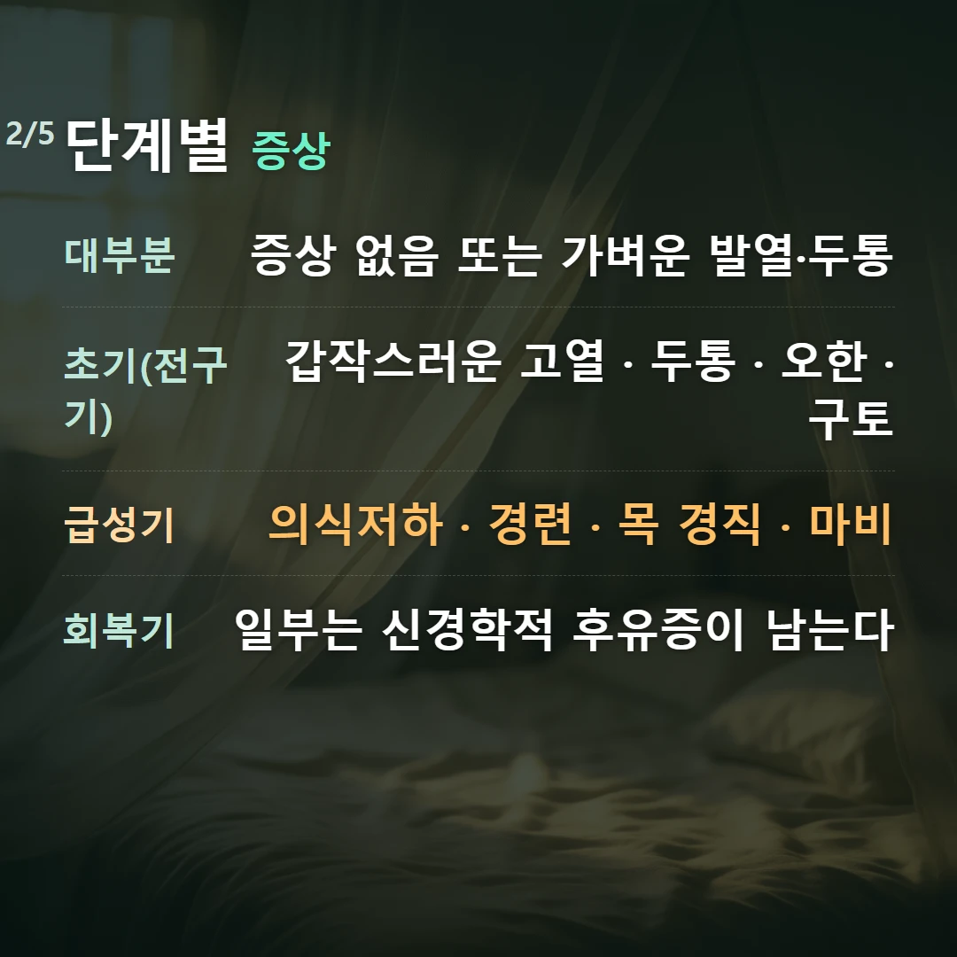 단계별 증상 — 대부분 증상 없음 또는 가벼운 발열·두통, 초기(전구기) 갑작스러운 고열 · 두통 · 오한 · 구토, 급성기 의식저하 · 경련 · 목 경직 · 마비, 회복기 일부는 신경학적 후유증이 남는다