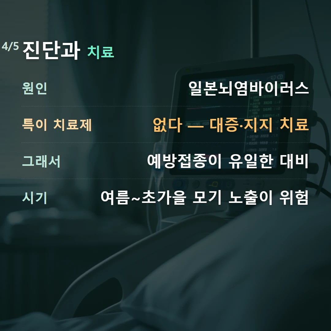 진단과 치료 — 원인 일본뇌염바이러스, 특이 치료제 없다 — 대증·지지 치료, 그래서 예방접종이 유일한 대비, 시기 여름~초가을 모기 노출이 위험