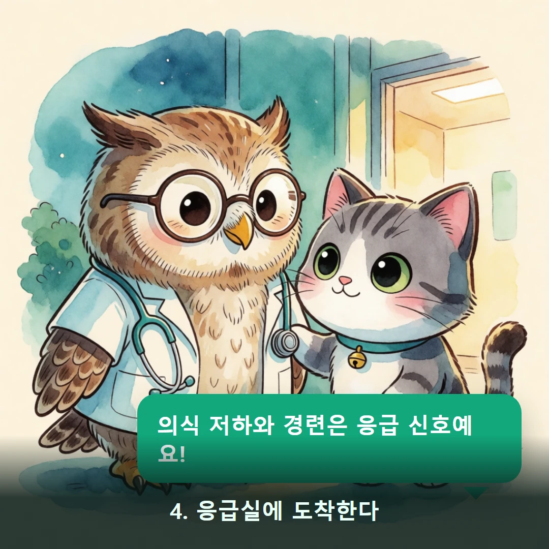 웹툰 4컷 — 4. 응급실에 도착한다 (의식 저하와 경련은 응급 신호예요!)