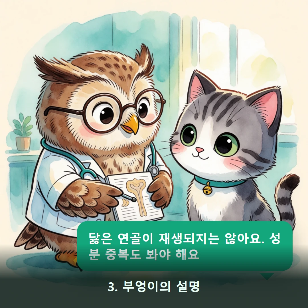 웹툰 3컷 — 3. 부엉이의 설명 (닳은 연골이 재생되지는 않아요. 성분 중복도 봐야 해요)