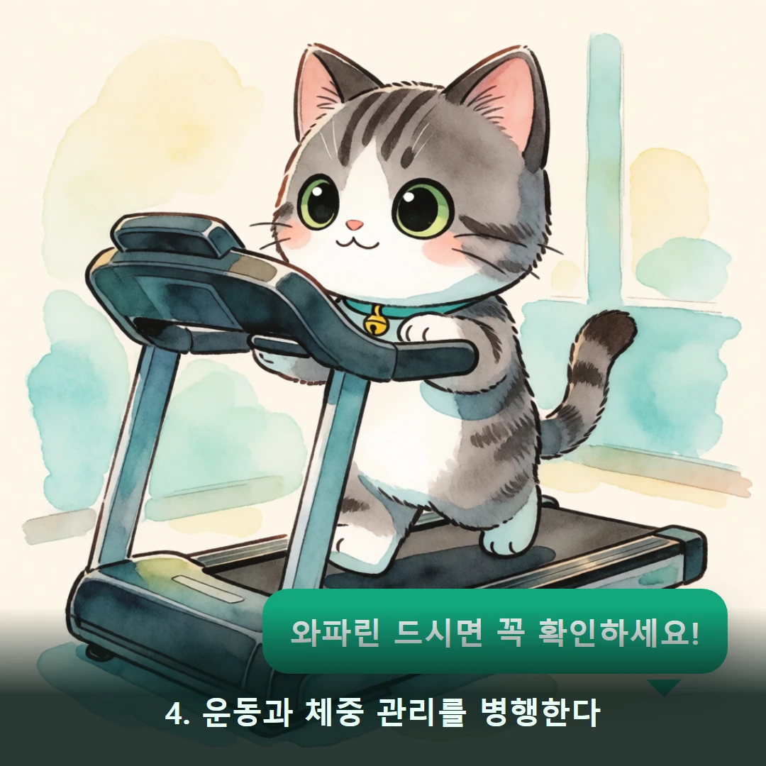 웹툰 4컷 — 4. 운동과 체중 관리를 병행한다 (와파린 드시면 꼭 확인하세요!)