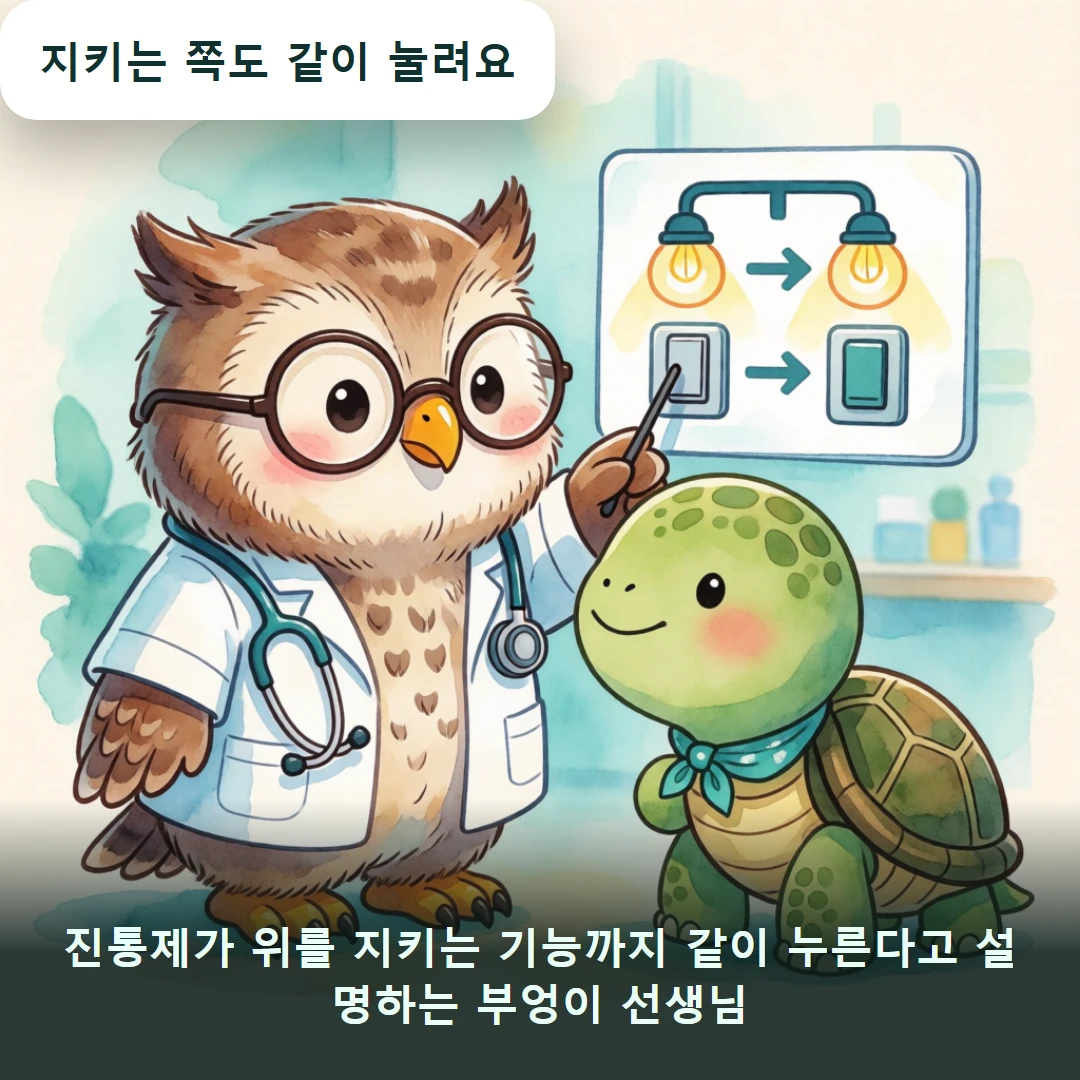 웹툰 2컷 — 진통제가 위를 지키는 기능까지 같이 누른다고 설명하는 부엉이 선생님 (지키는 쪽도 같이 눌려요)