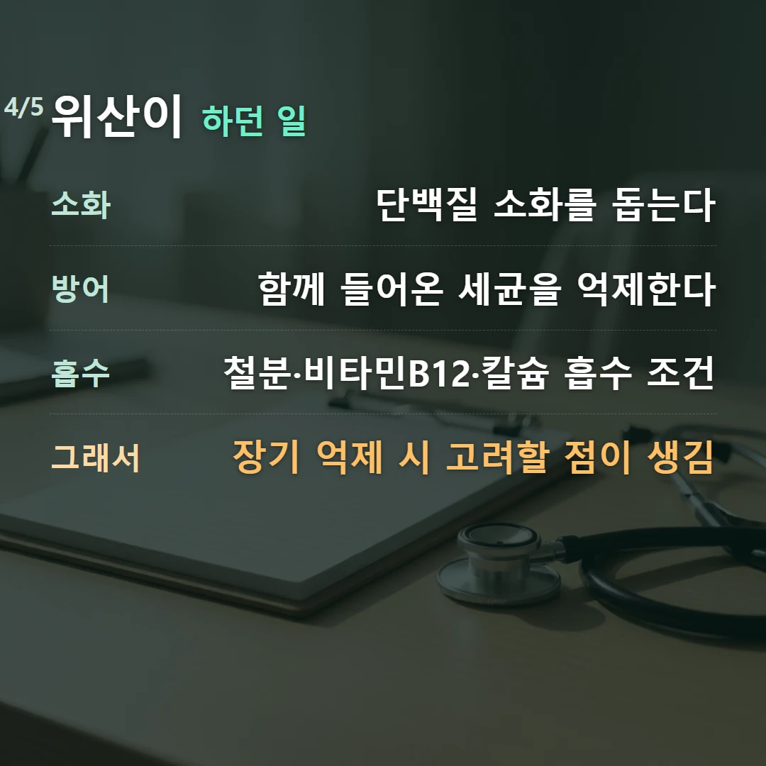 위산이 하던 일 — 소화 단백질 소화를 돕는다, 방어 함께 들어온 세균을 억제한다, 흡수 철분·비타민B12·칼슘 흡수 조건, 그래서 장기 억제 시 고려할 점이 생김