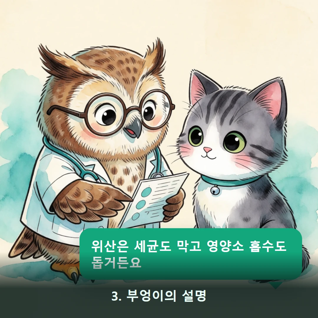 웹툰 3컷 — 3. 부엉이의 설명 (위산은 세균도 막고 영양소 흡수도 돕거든요)