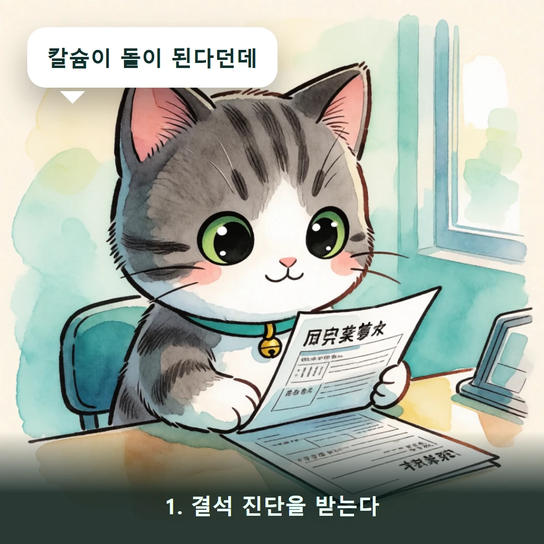 웹툰 1컷 — 1. 결석 진단을 받는다 (칼슘이 돌이 된다던데)