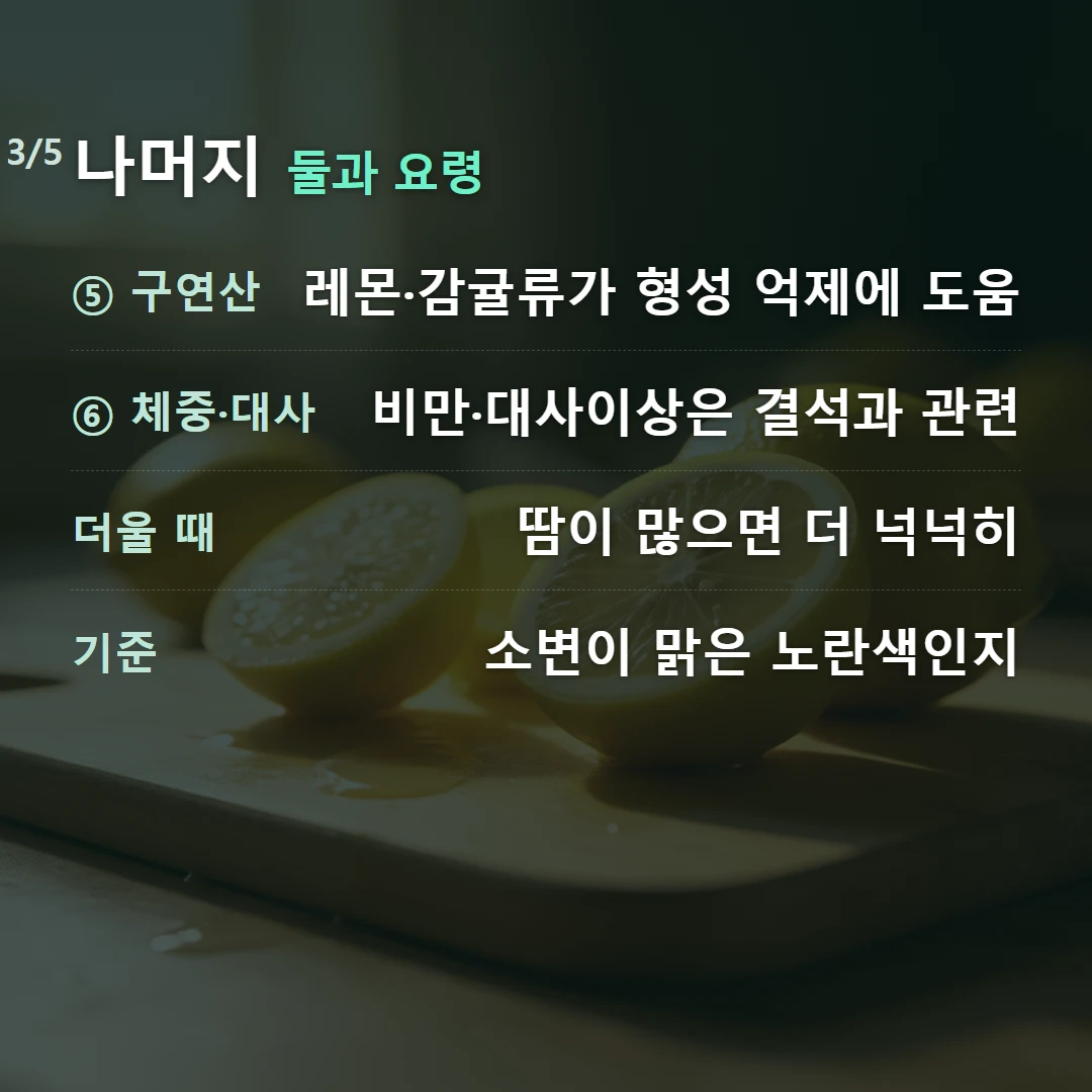 나머지 둘과 요령 — ⑤ 구연산 레몬·감귤류가 형성 억제에 도움, ⑥ 체중·대사 비만·대사이상은 결석과 관련, 더울 때 땀이 많으면 더 넉넉히, 기준 소변이 맑은 노란색인지