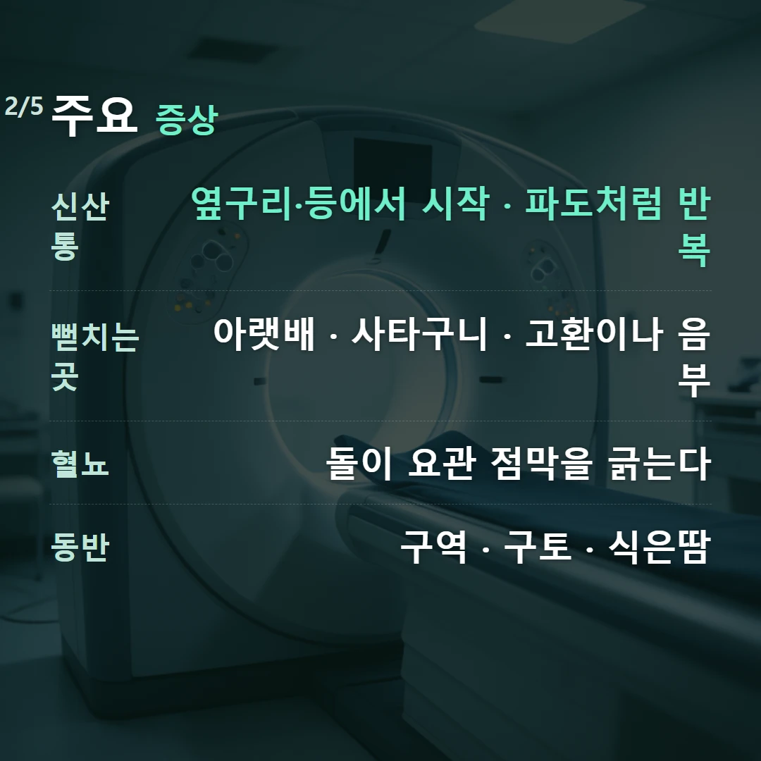 주요 증상 — 신산통 옆구리·등에서 시작 · 파도처럼 반복, 뻗치는 곳 아랫배 · 사타구니 · 고환이나 음부, 혈뇨 돌이 요관 점막을 긁는다, 동반 구역 · 구토 · 식은땀