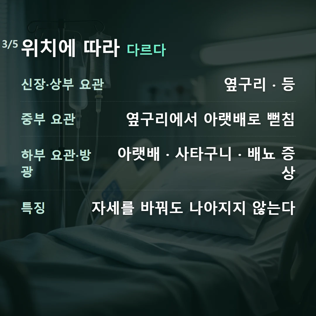 위치에 따라 다르다 — 신장·상부 요관 옆구리 · 등, 중부 요관 옆구리에서 아랫배로 뻗침, 하부 요관·방광 아랫배 · 사타구니 · 배뇨 증상, 특징 자세를 바꿔도 나아지지 않는다