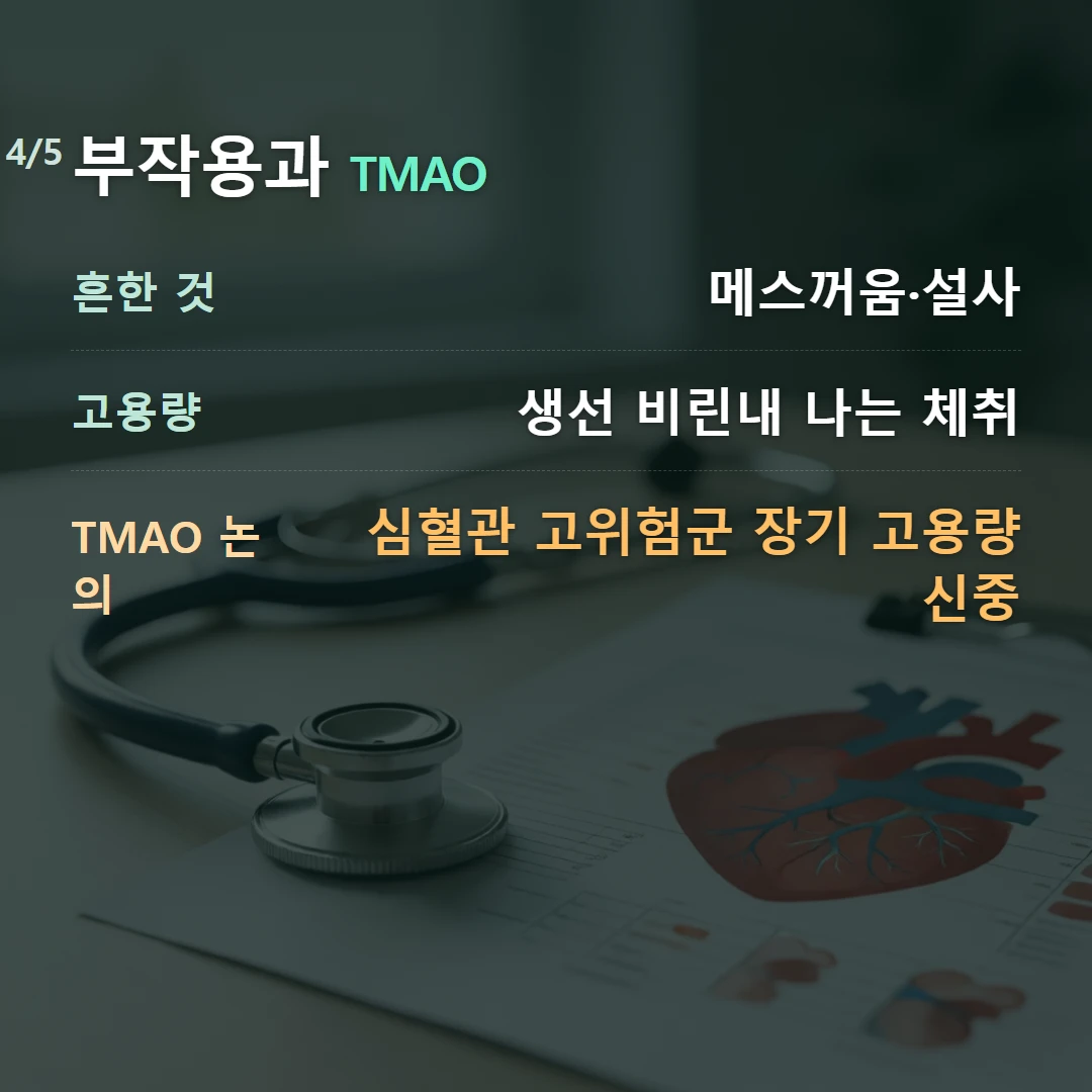 부작용과 TMAO — 흔한 것 메스꺼움·설사, 고용량 생선 비린내 나는 체취, TMAO 논의 심혈관 고위험군 장기 고용량 신중
