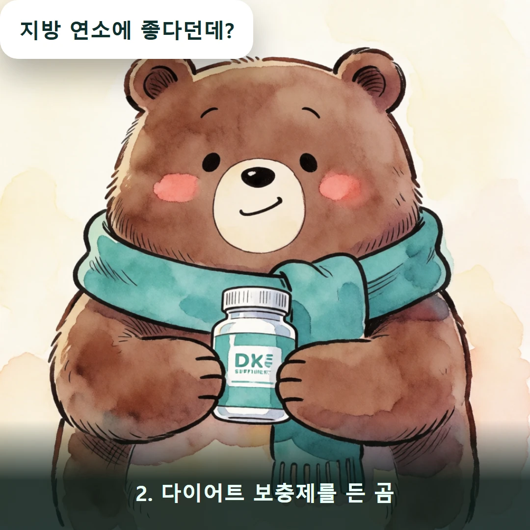 웹툰 2컷 — 2. 다이어트 보충제를 든 곰 (지방 연소에 좋다던데?)