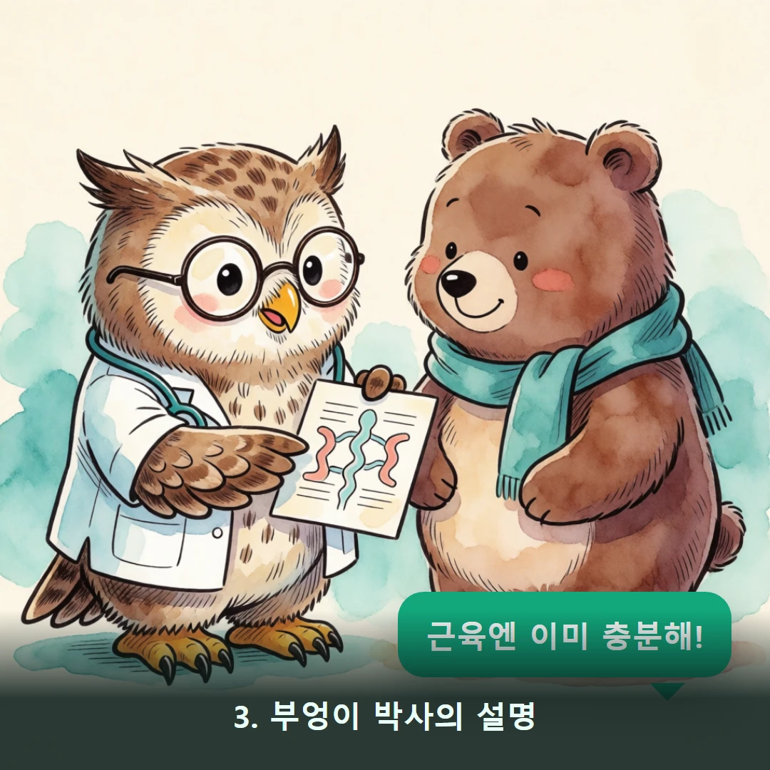 웹툰 3컷 — 3. 부엉이 박사의 설명 (근육엔 이미 충분해!)