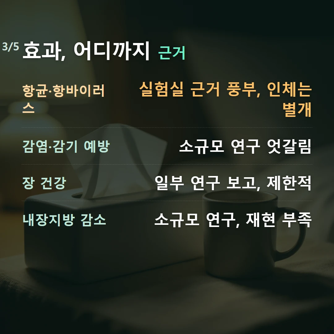 효과, 어디까지 근거 — 항균·항바이러스 실험실 근거 풍부, 인체는 별개, 감염·감기 예방 소규모 연구 엇갈림, 장 건강 일부 연구 보고, 제한적, 내장지방 감소 소규모 연구, 재현 부족