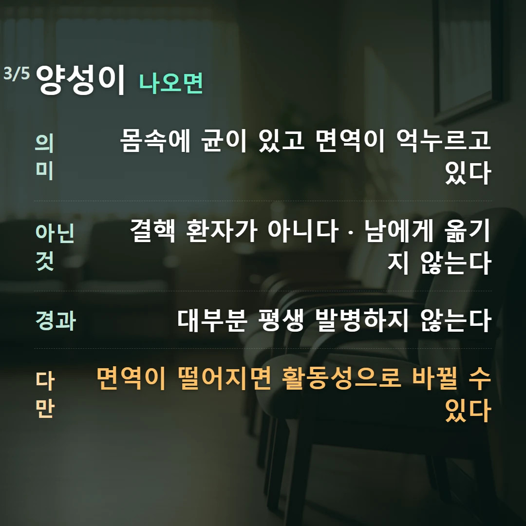 양성이 나오면 — 의미 몸속에 균이 있고 면역이 억누르고 있다, 아닌 것 결핵 환자가 아니다 · 남에게 옮기지 않는다, 경과 대부분 평생 발병하지 않는다, 다만 면역이 떨어지면 활동성으로 바뀔 수 있다
