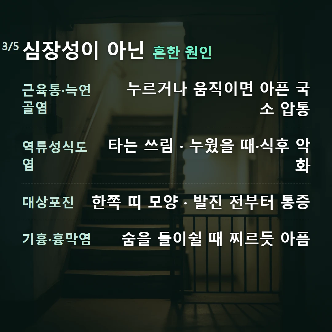 심장성이 아닌 흔한 원인 — 근육통·늑연골염 누르거나 움직이면 아픈 국소 압통, 역류성식도염 타는 쓰림 · 누웠을 때·식후 악화, 대상포진 한쪽 띠 모양 · 발진 전부터 통증, 기흉·흉막염 숨을 들이쉴 때 찌르듯 아픔