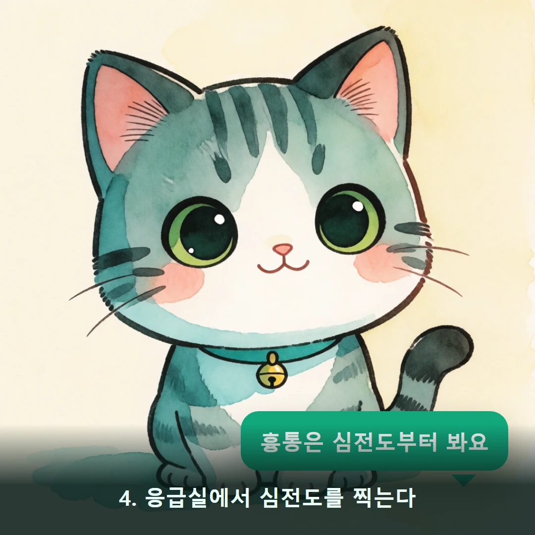 웹툰 4컷 — 4. 응급실에서 심전도를 찍는다 (흉통은 심전도부터 봐요)