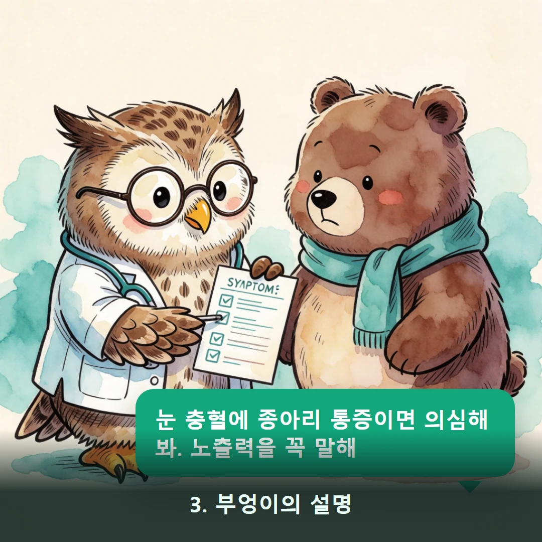 웹툰 3컷 — 3. 부엉이의 설명 (눈 충혈에 종아리 통증이면 의심해봐. 노출력을 꼭 말해)
