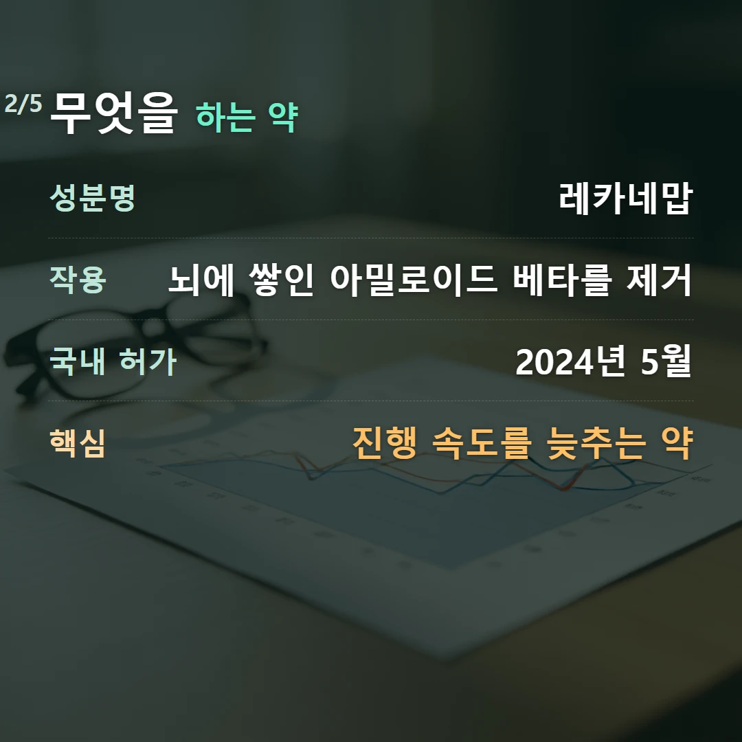무엇을 하는 약 — 성분명 레카네맙, 작용 뇌에 쌓인 아밀로이드 베타를 제거, 국내 허가 2024년 5월, 핵심 진행 속도를 늦추는 약