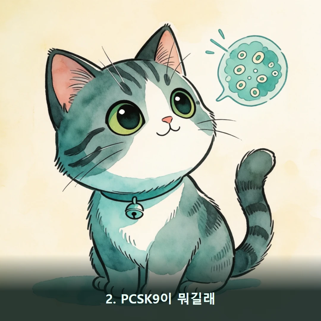 웹툰 2컷 — 2. PCSK9이 뭐길래