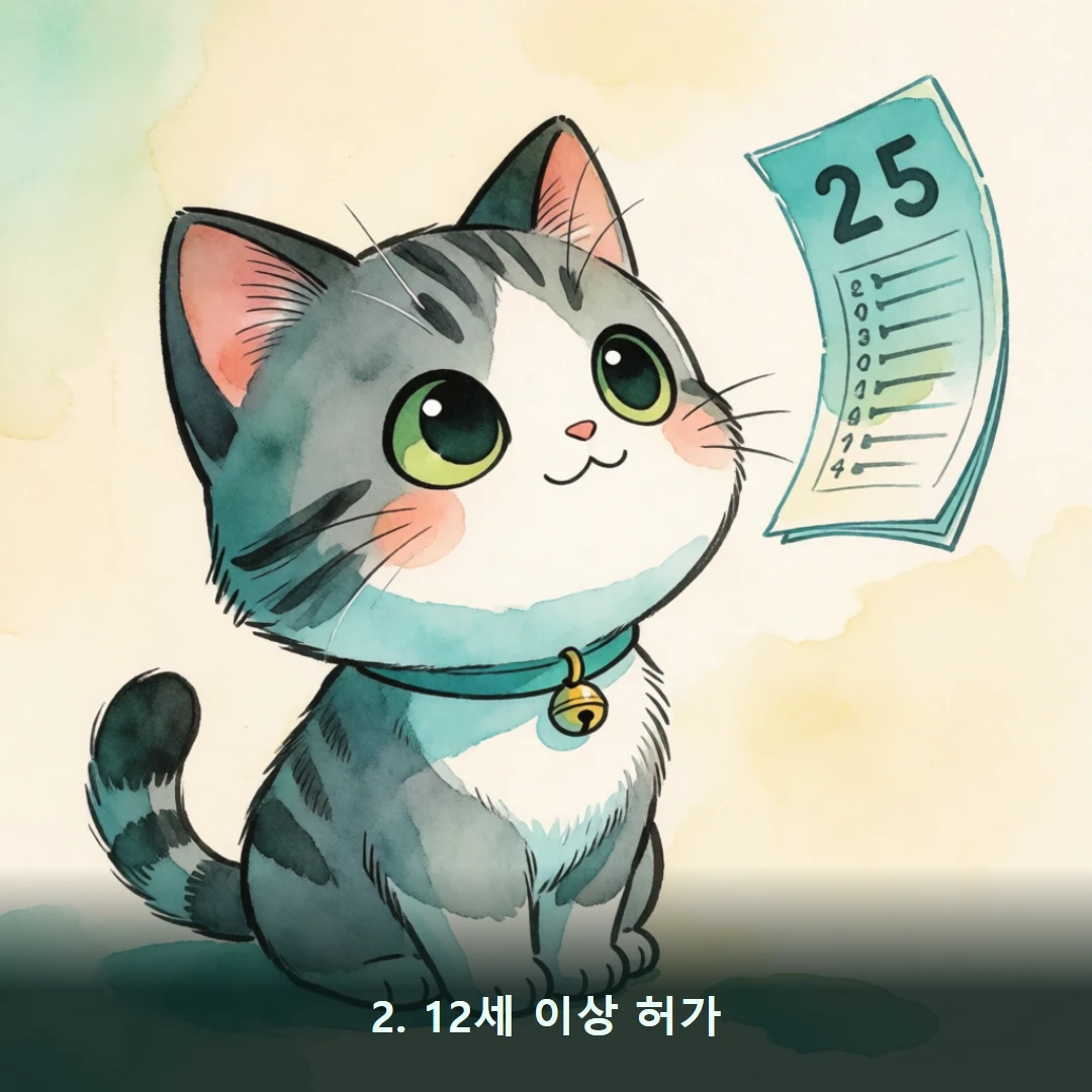 웹툰 2컷 — 2. 12세 이상 허가