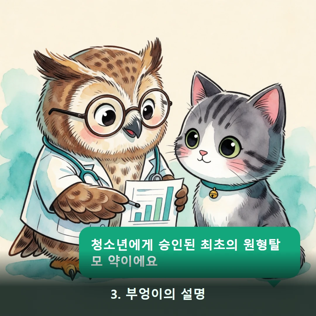 웹툰 3컷 — 3. 부엉이의 설명 (청소년에게 승인된 최초의 원형탈모 약이에요)