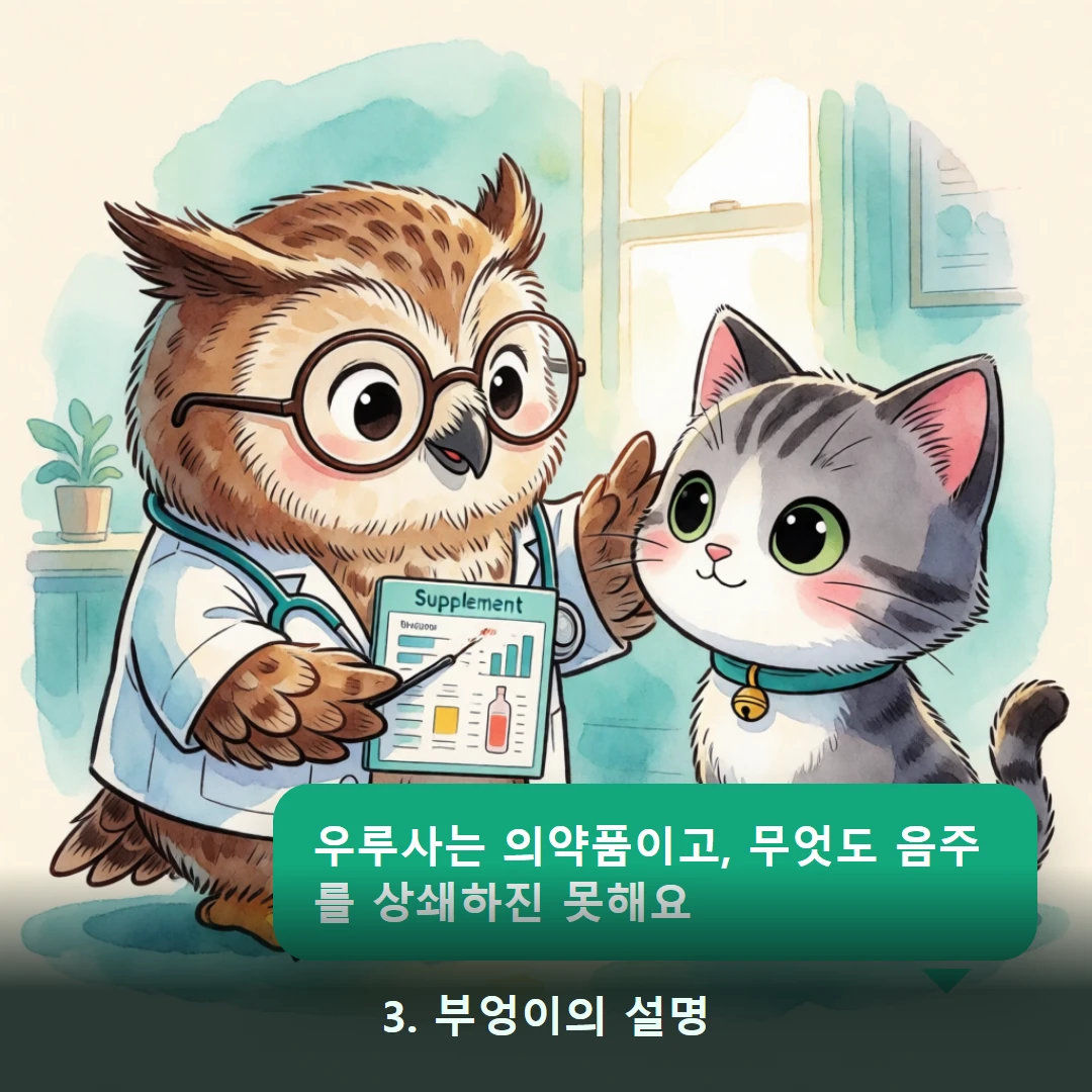 웹툰 3컷 — 3. 부엉이의 설명 (우루사는 의약품이고, 무엇도 음주를 상쇄하진 못해요)