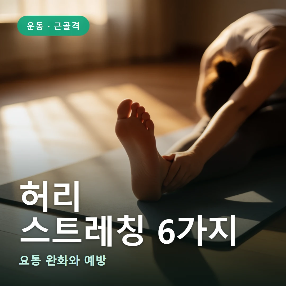 허리 스트레칭 요약 표지 — 요통 완화와 예방