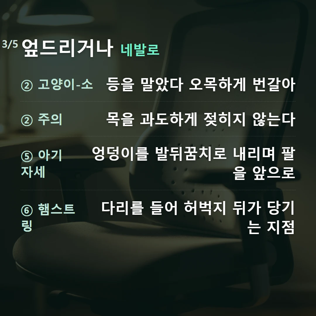 엎드리거나 네발로 — ② 고양이-소 등을 말았다 오목하게 번갈아, ② 주의 목을 과도하게 젖히지 않는다, ⑤ 아기 자세 엉덩이를 발뒤꿈치로 내리며 팔을 앞으로, ⑥ 햄스트링 다리를 들어 허벅지 뒤가 당기는 지점