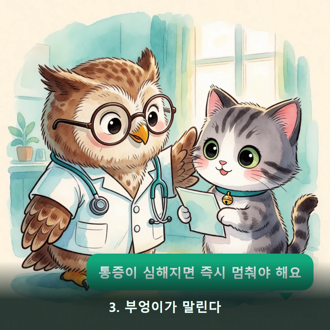 웹툰 3컷 — 3. 부엉이가 말린다 (통증이 심해지면 즉시 멈춰야 해요)