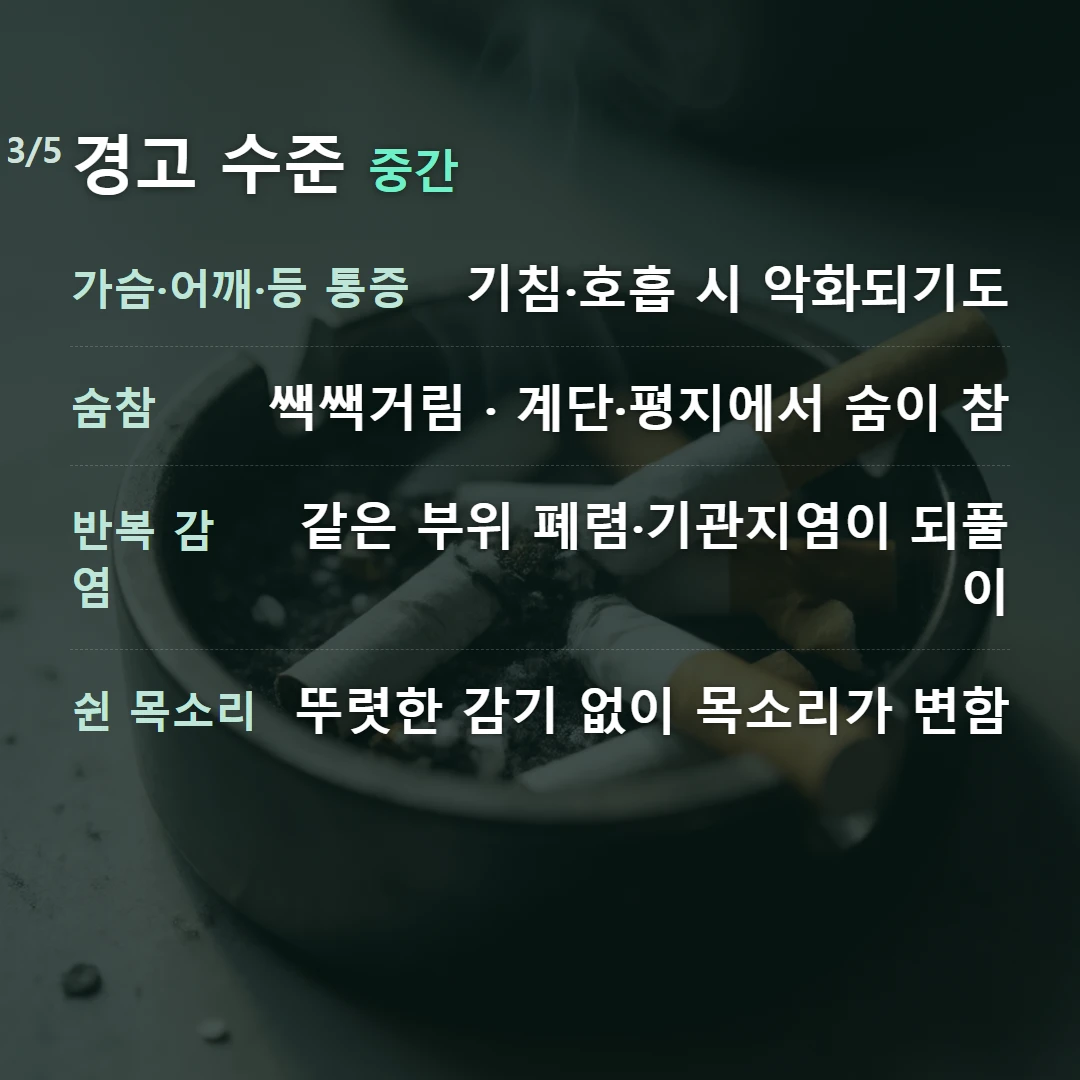 경고 수준 중간 — 가슴·어깨·등 통증 기침·호흡 시 악화되기도, 숨참 쌕쌕거림 · 계단·평지에서 숨이 참, 반복 감염 같은 부위 폐렴·기관지염이 되풀이, 쉰 목소리 뚜렷한 감기 없이 목소리가 변함